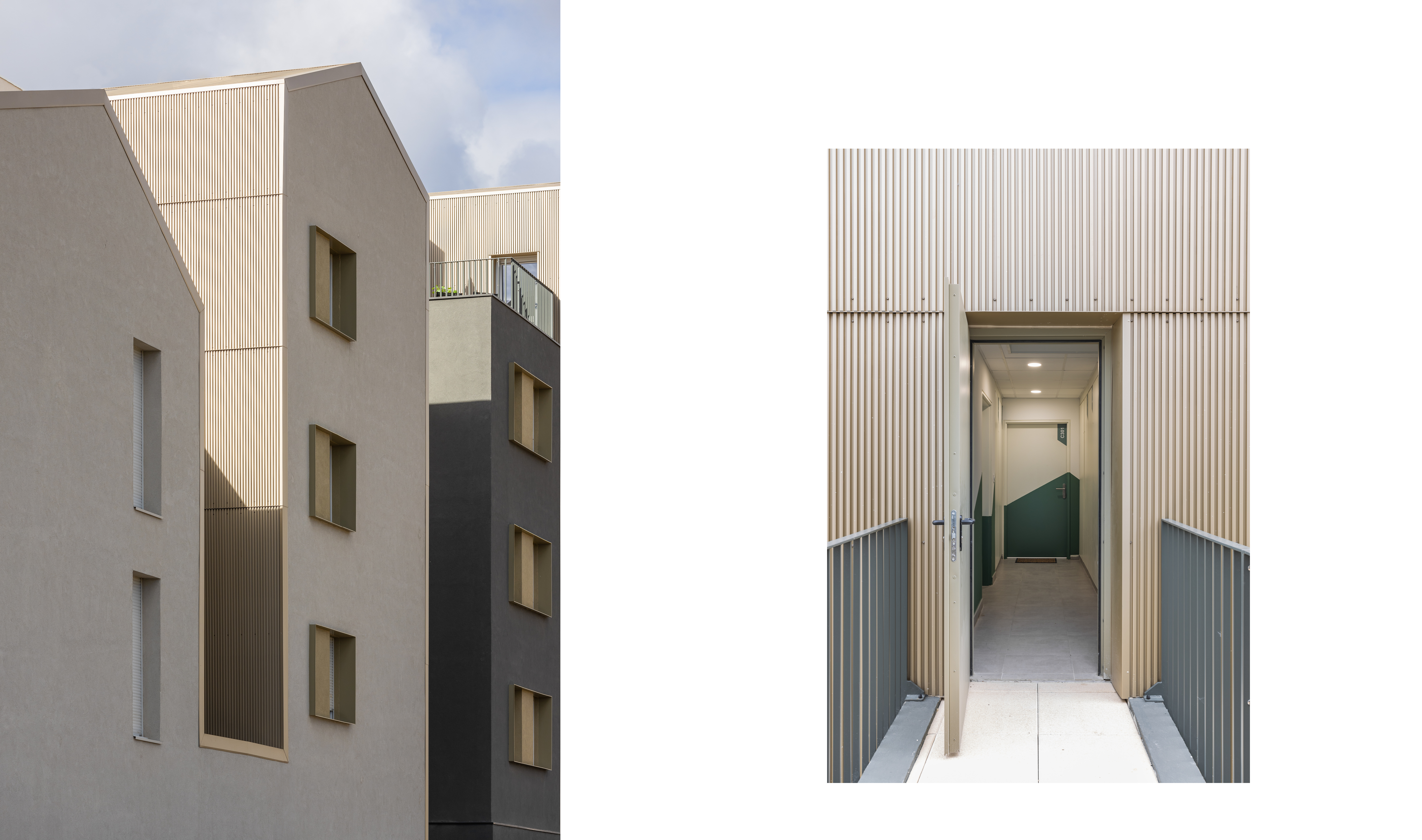 Isadora Duncan – rendu architectural, habitat collectif à Montpellier, TLA architectes